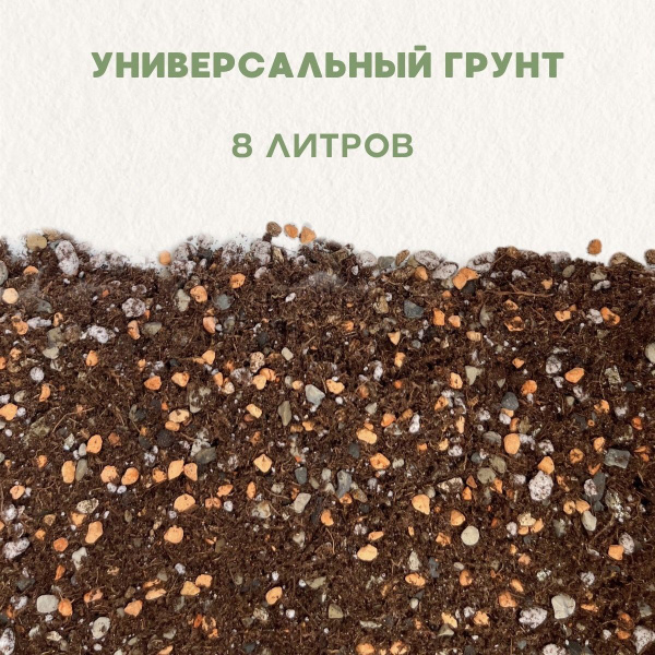 Универсальный грунт для комнатных растений в горшке. Грунт для фикуса и ...