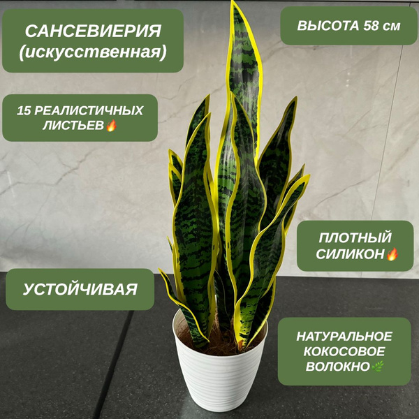 Цветы Надолго. Силиконовая искусственная сансевиерия в горшке, высота ...