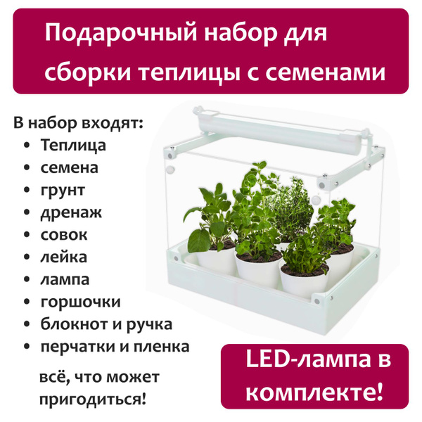 Набор для сборки теплицы на подоконник Flower3d с семенами цветов ...