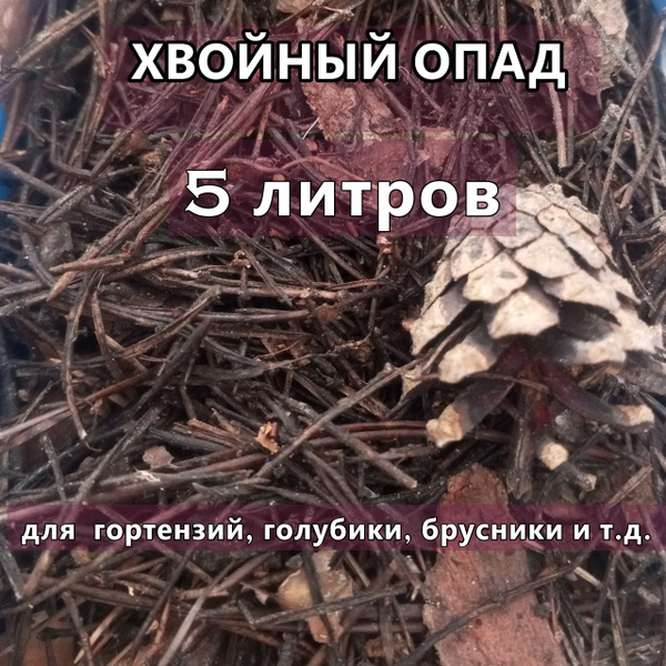 Хвойный опад, мульча хвойная купить c доставкой на OZON по низкой цене ...