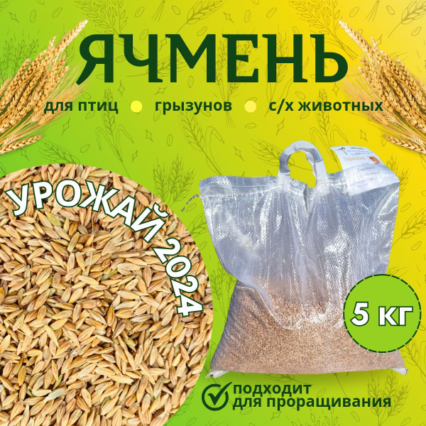 Ячмень 5 кг купить на OZON по низкой цене (1731550260)