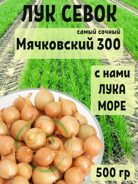 Лук севок купить на OZON по низкой цене (1792211956)