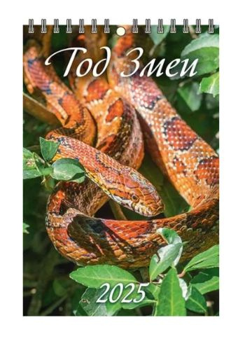 Календарь "Год Змеи Вид 1" 2025 настенный перекидной на пружине купить ...