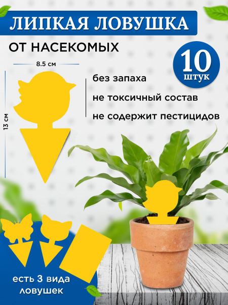 Клеевая ловушка для комнатных растений и деревьев, от мушек черных и ...