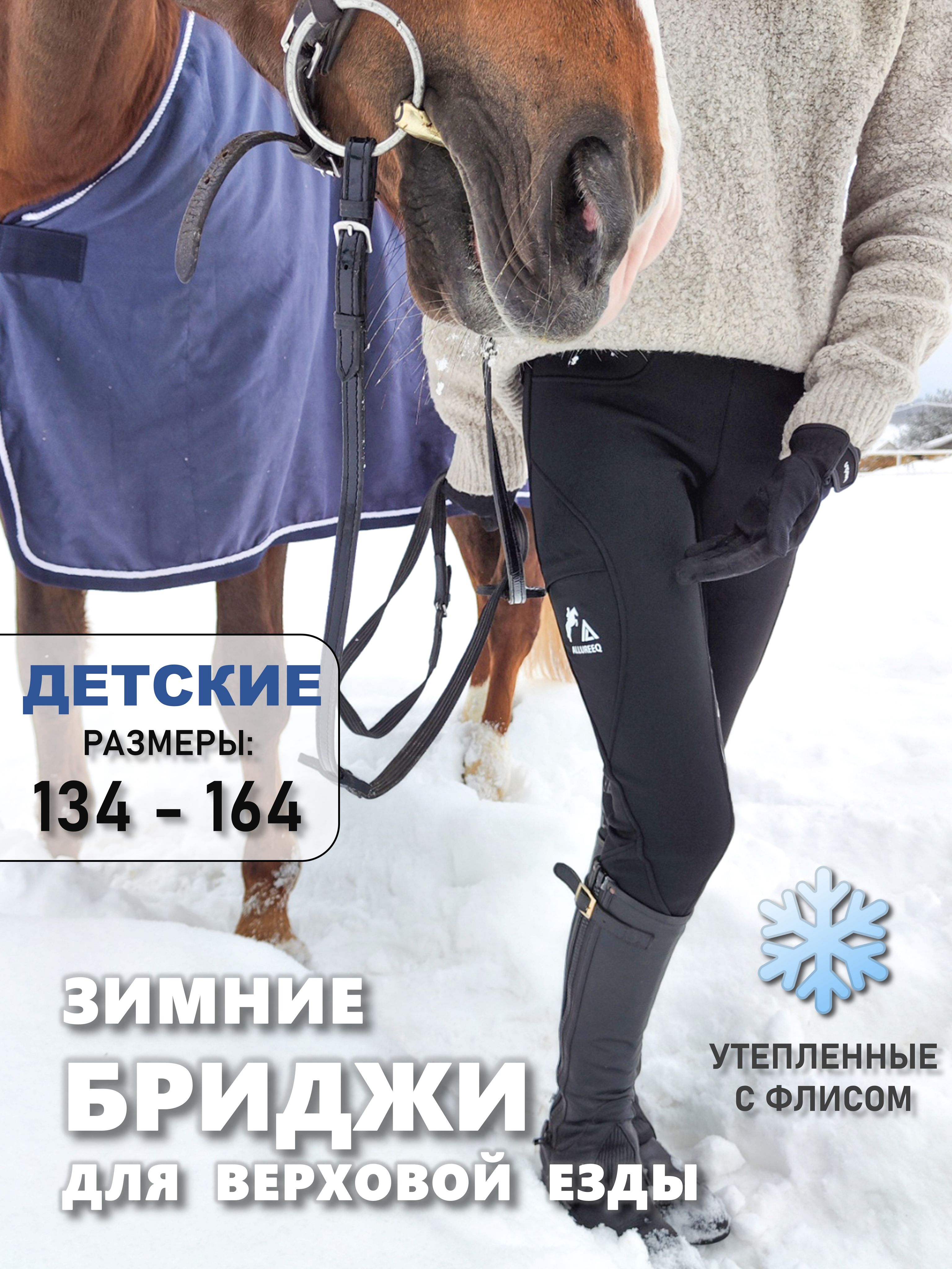 Одежда для верховой езды ALLURE EQ купить на OZON по низкой цене (1400547643)