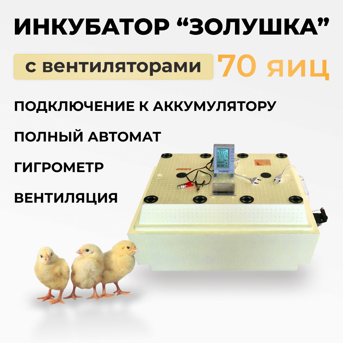 Инкубация яиц в домашних условиях