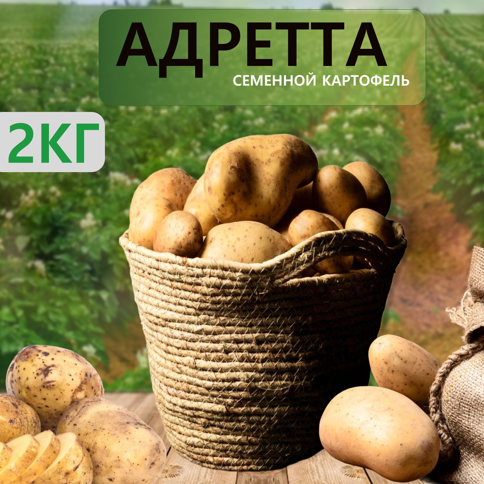 Купить Семенной Картофель В Интернет Адретта