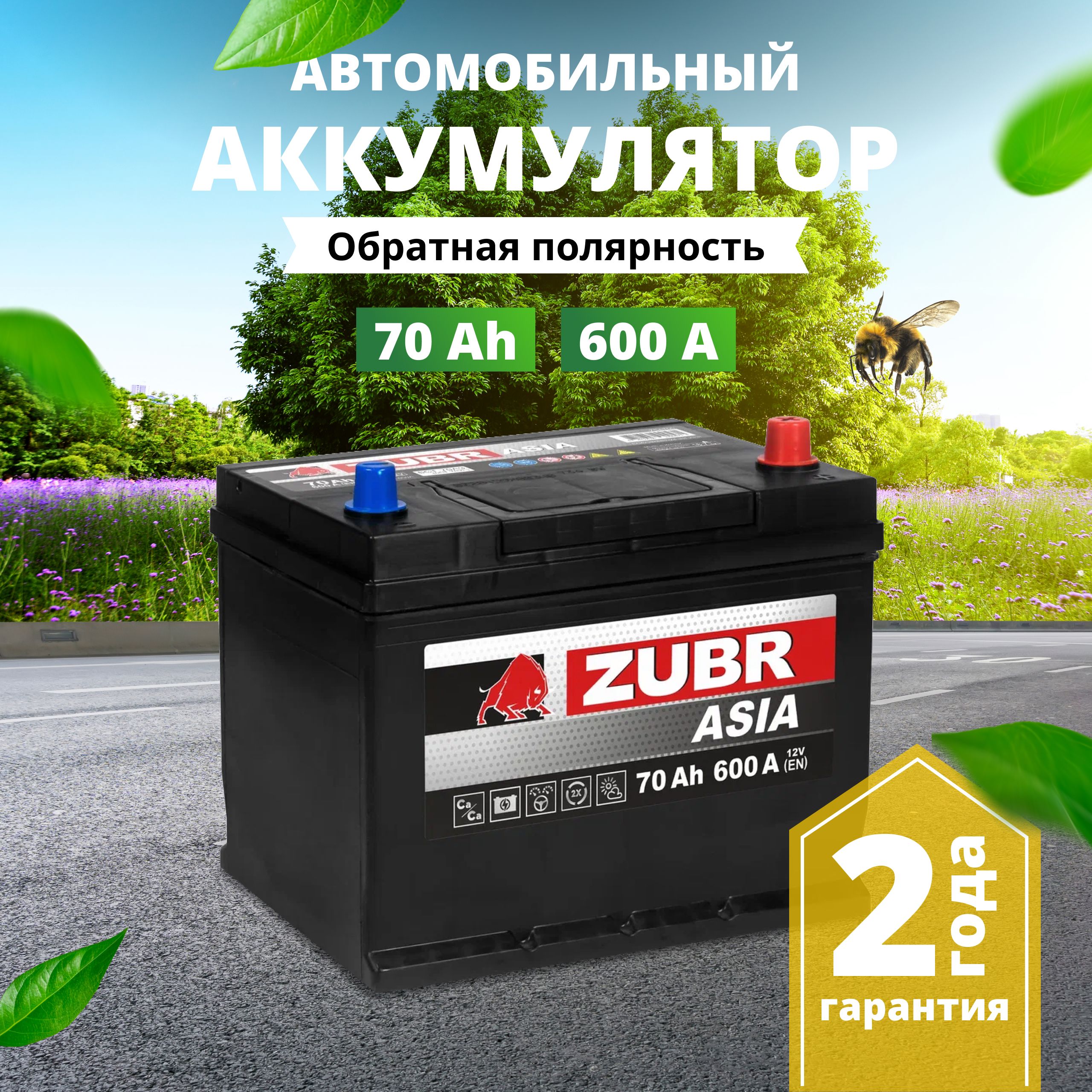 Аккумулятор автомобильный 12v 70 Ah ZUBR Ultra Asia 70 Ач 600 А обратная  полярность 261x175x225 стартерный акб для автомобиля, машины (нижний борт)