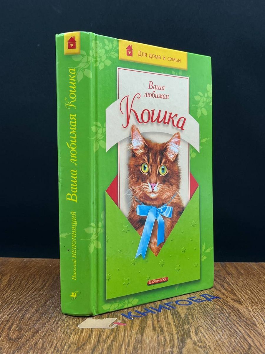 Ваша любимая кошка - купить с доставкой по выгодным ценам в  интернет-магазине OZON (1514206692)