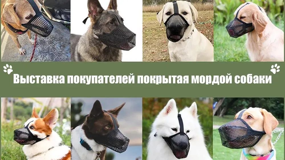 Намордник сетчатый, намордник, маска для собаки, Размер M 24-27CM