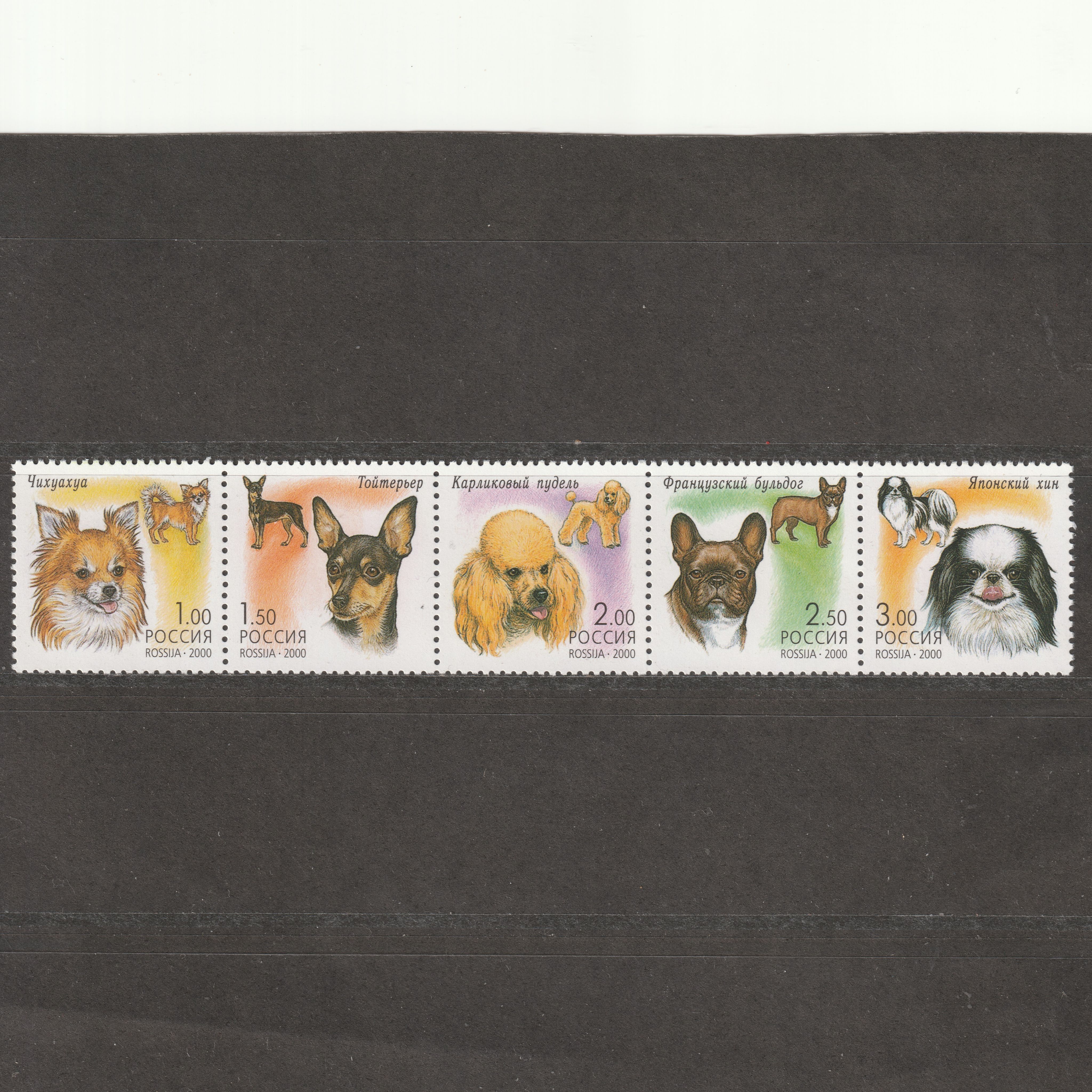 2000 dogs в рублях. 2000 dogs в рублях. Сахара марки собаки 2000. 2000 dogs в рублях. 2000 dogs в рублях.