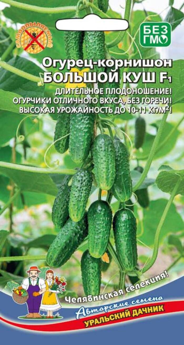 Семена Огурцы Уральский Дачник Купить