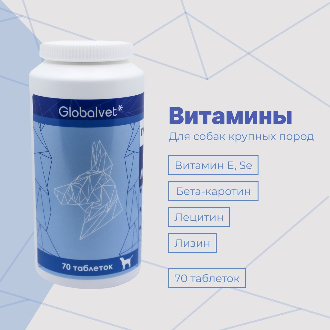 Витамины Глобалвит Multieffect Globalvet для взрослых собак крупных пород,  для защиты суставов и красоты шерсти, 70 таб. - купить с доставкой по  выгодным ценам в интернет-магазине OZON (1102130780)