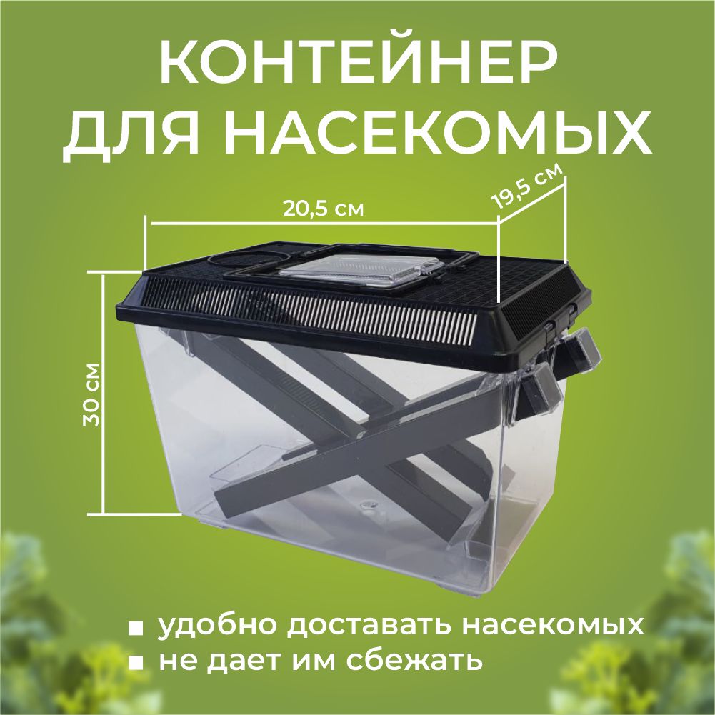 Контейнер для живого корма Hagen Exo-Terra Cricket Pen Large, фаунариум для сверчков и тараканов 30*25,5*19,5 см