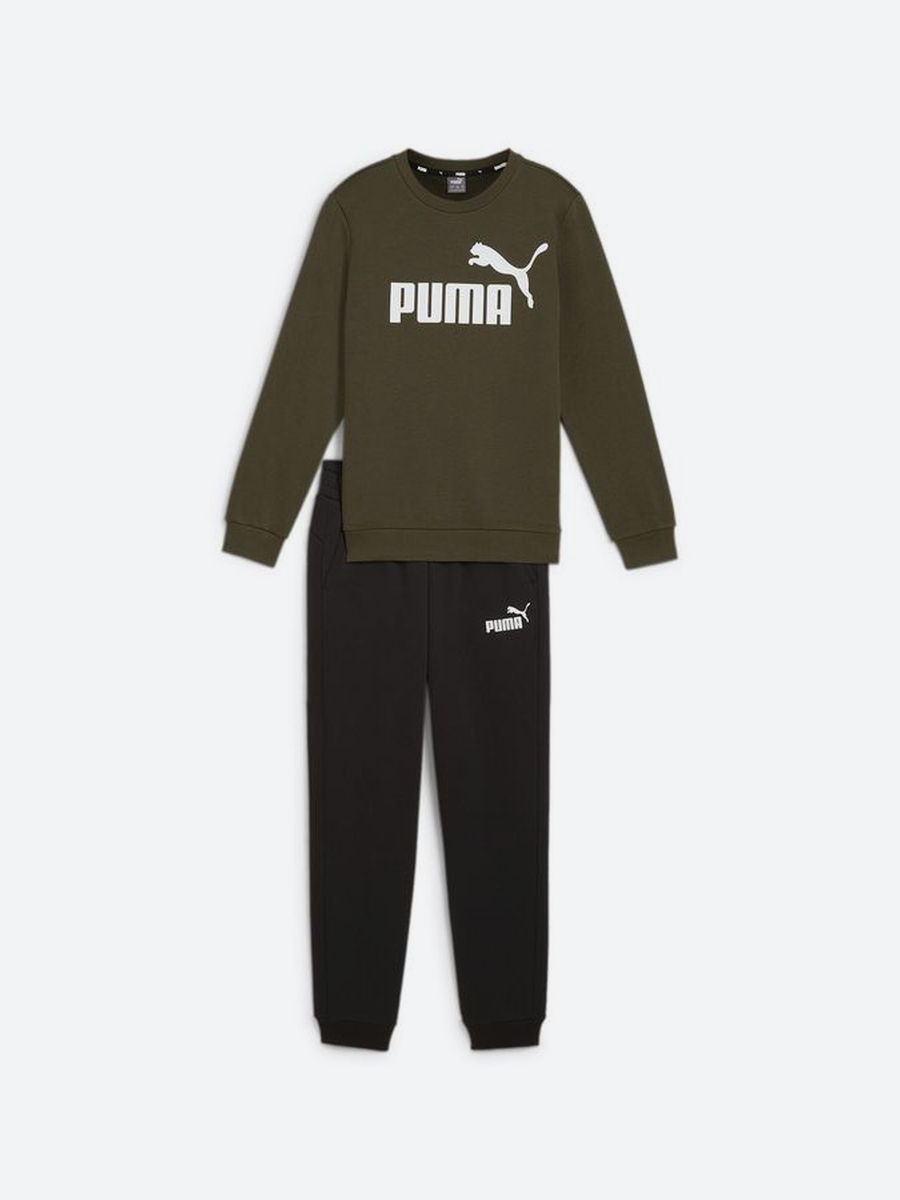 КостюмспортивныйPUMANo.1LogoSweatSuitFlB