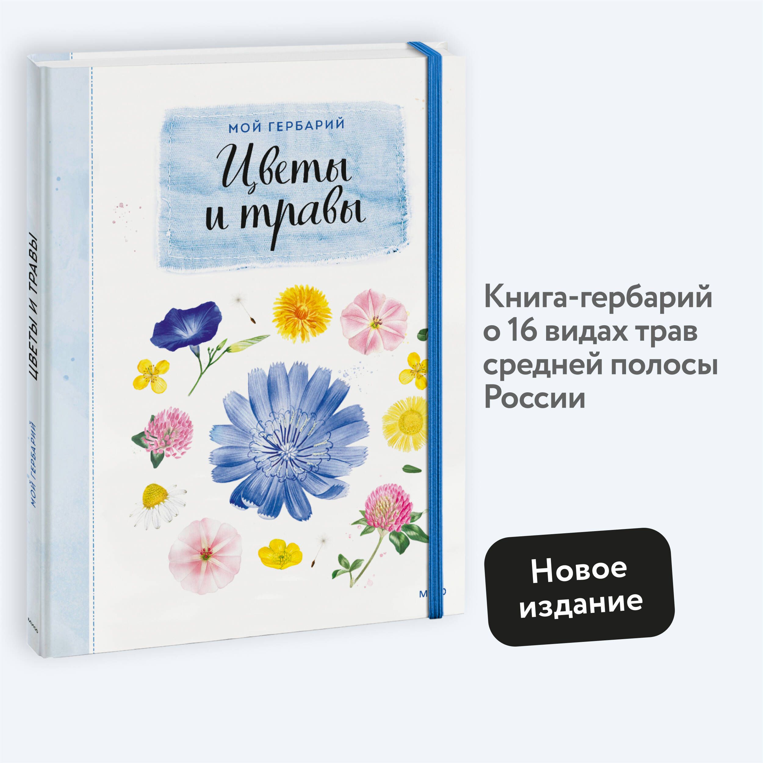 Мой гербарий. Цветы и травы(переупак) | Васильева Анна Борисовна