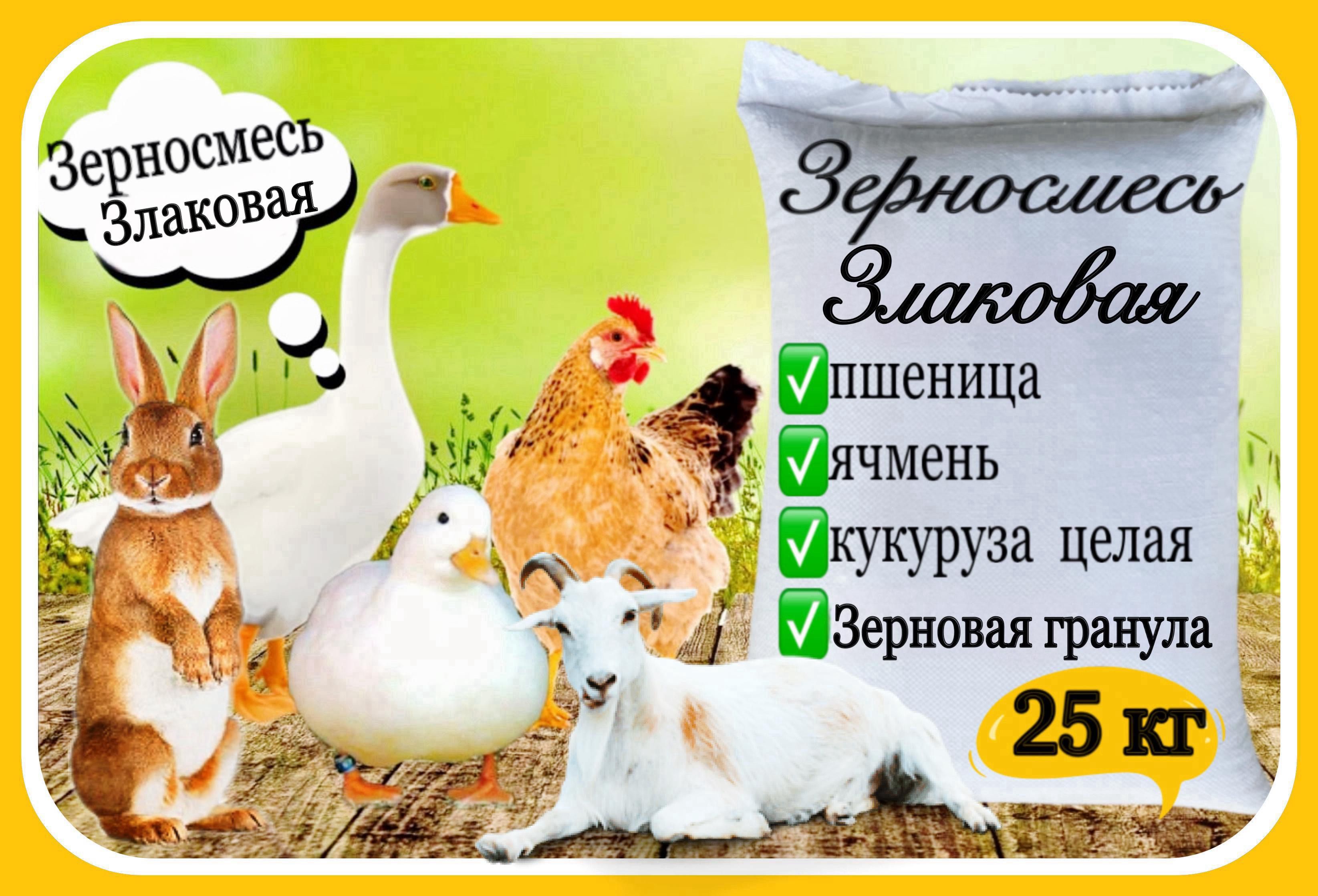 Зерносмесь Злаковая 25 кг