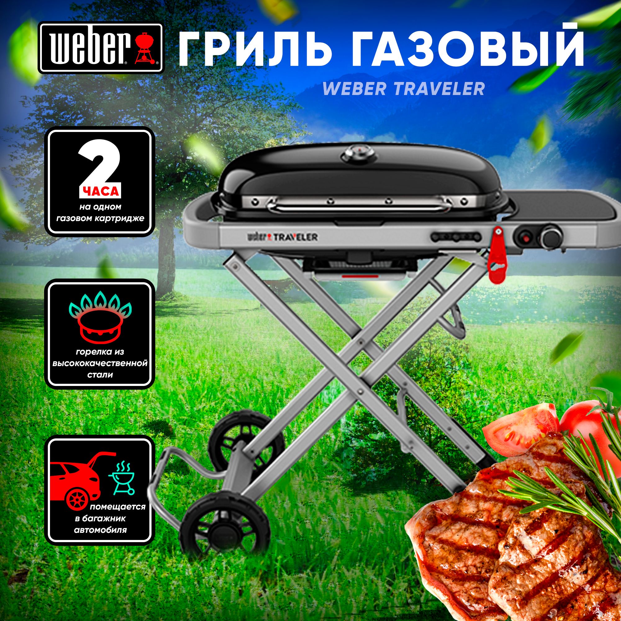 Гриль газовый Weber Traveler Черный