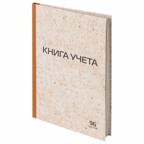  Книга учета A4 (21 × 29.7 см), 1 шт., листов: 96