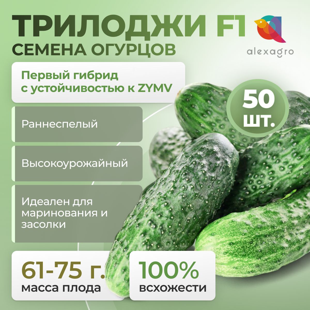 ТРИЛОДЖИ F1 семена огурца партенокарпического, 50 шт. (Rijk Zwaan / ALEXAGRO). Высокоурожайный, ранний гибрид для открытого грунта и пленочных теплиц