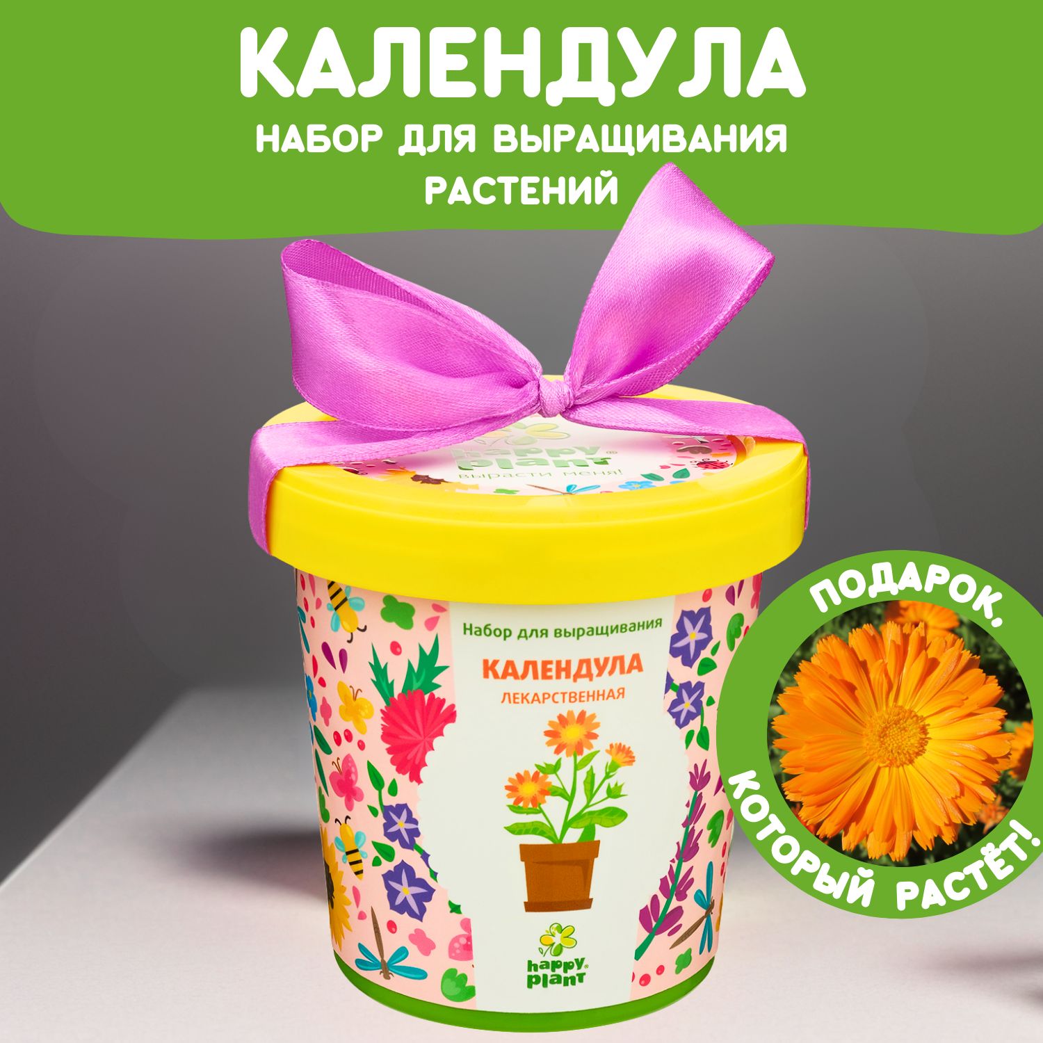 Набор для выращивания растений Happy Plant Календула Лекарственная, семена комнатных цветов в подарочном горшке