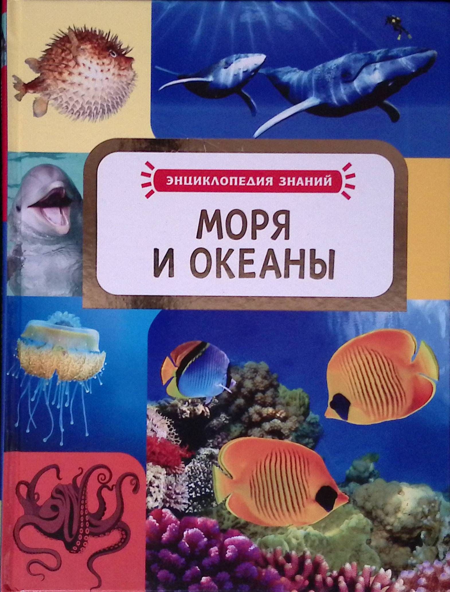 Моря и океаны