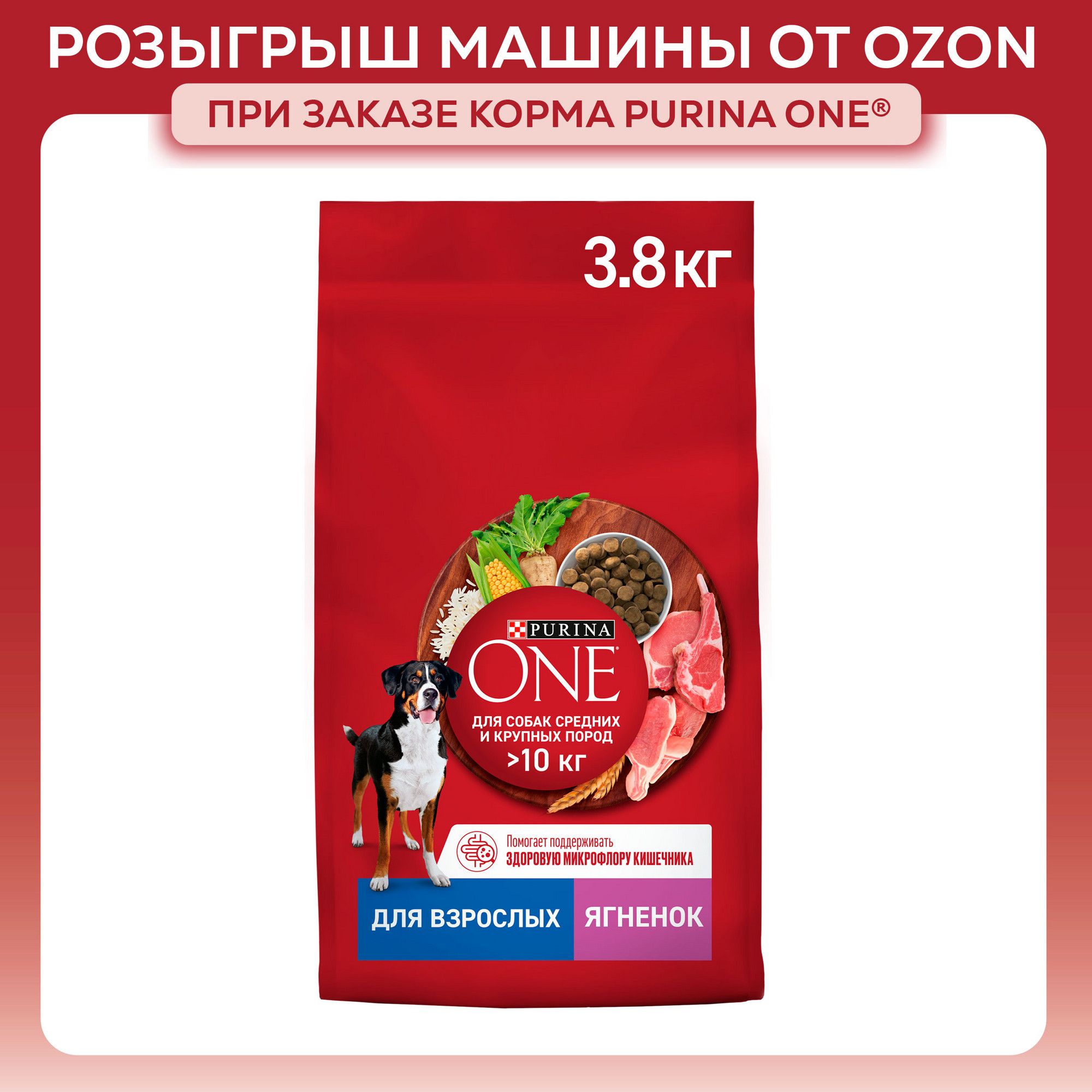 Сухой корм для собак Purina ONE для средних и крупных пород, с ягненком и рисом, 3,8 кг