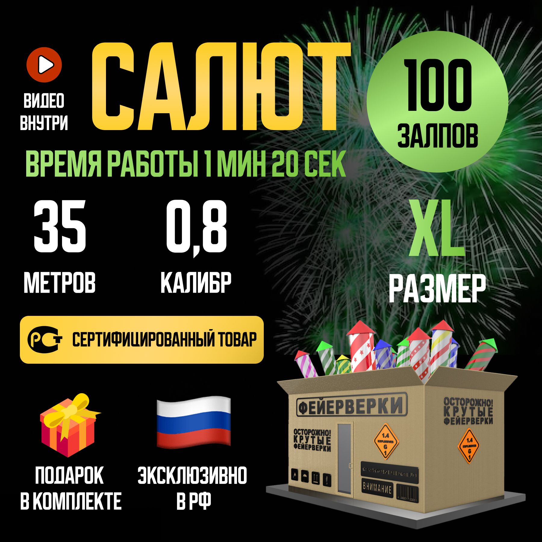 ТК Сервис Салют 0,8"", число зарядов100 , высота подъема35 м.