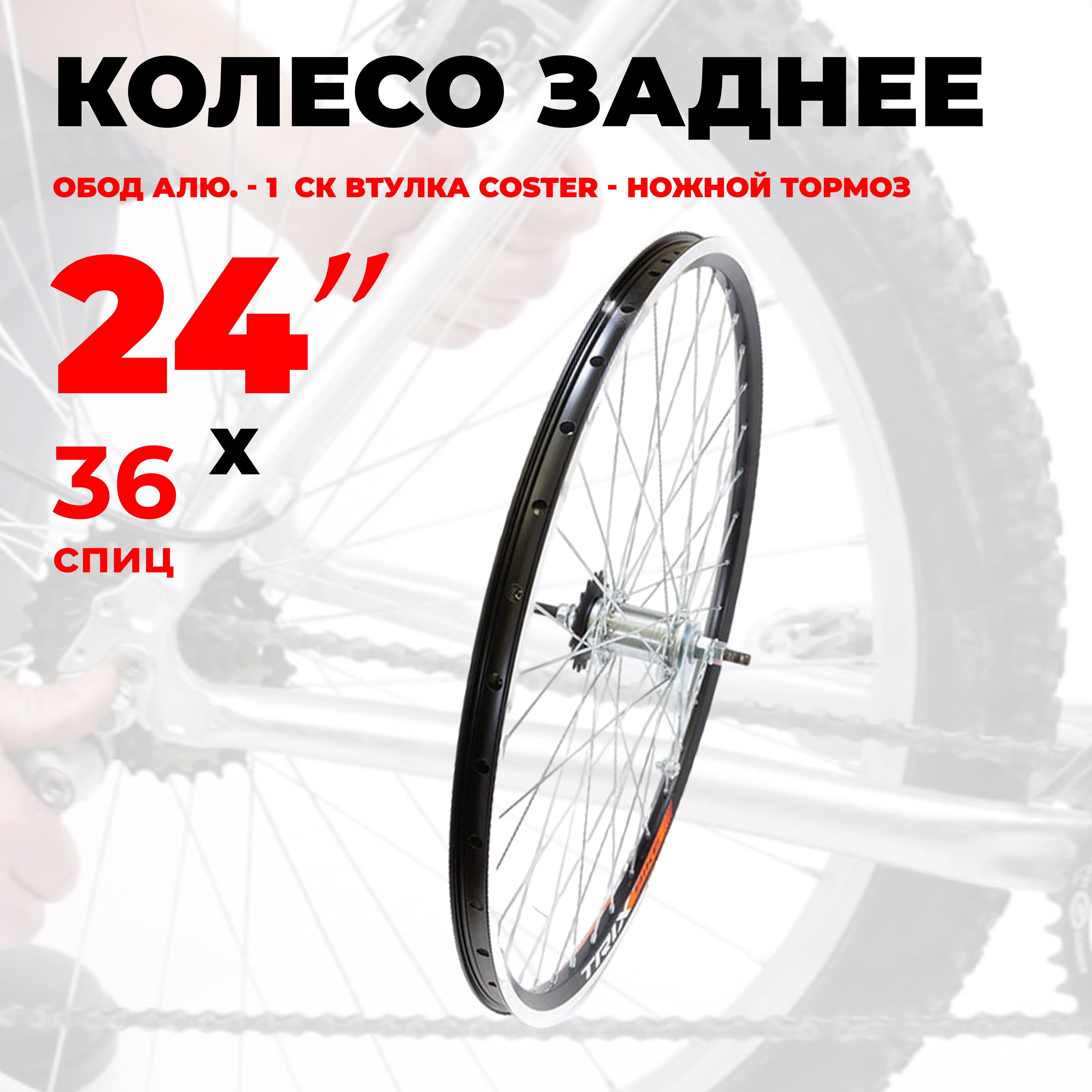 Колесодлявелосипедазаднее24"(YKL11-24-silver-4205)алюминиевыйдвойнойобод,втулкаCoster,подV-Brake,подгайки,ножнойтормозTRIX