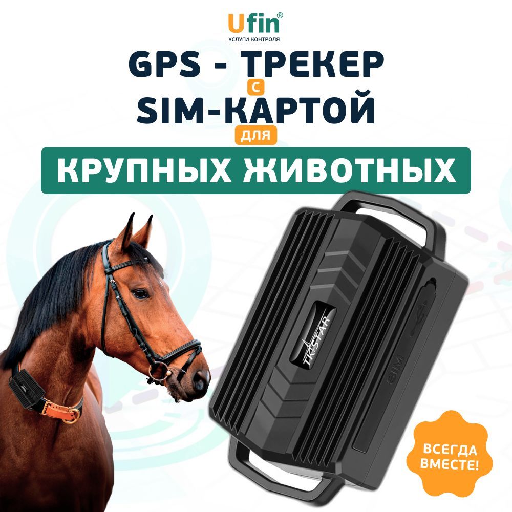 GPS трекер ошейник для крупных домашних животных