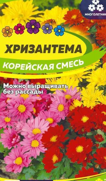 Хризантемы многолетние Семена Алтая Корейская смесь - купить по ...