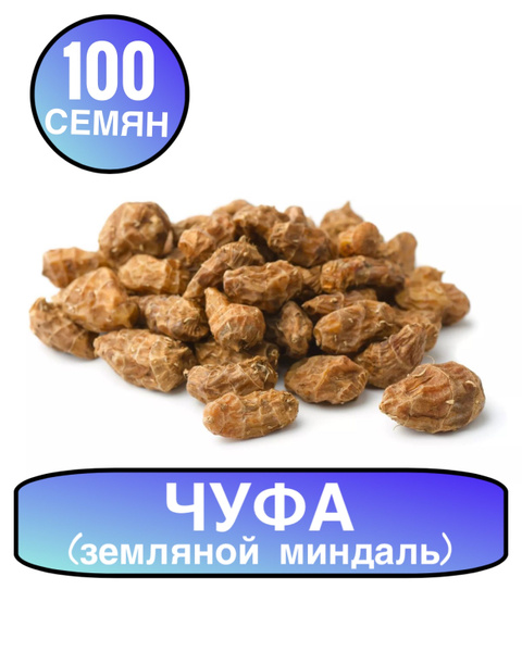 Орех Чуфа Фото Полезные Свойства