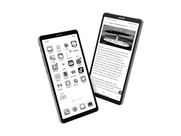 Электронная книга Dasung link, Монохромный - купить по низким ценам в ...