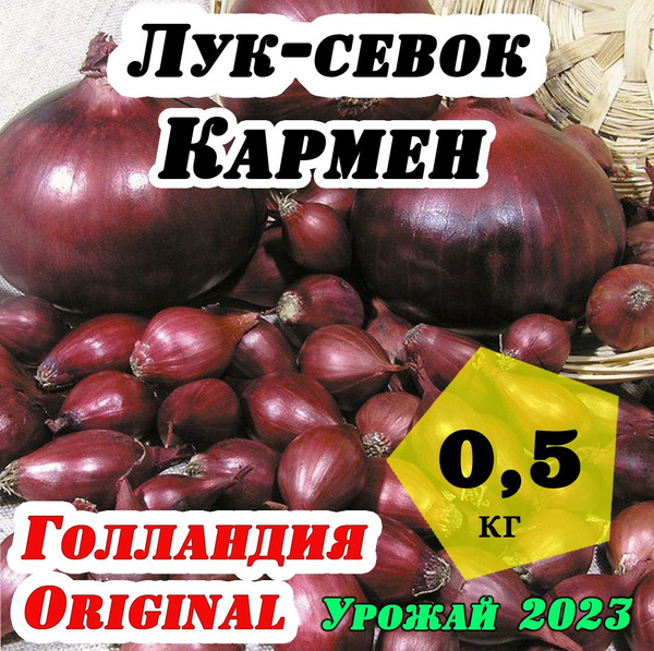 Луковицы Лук севок, Лук купить по выгодной цене в интернет-магазине ...