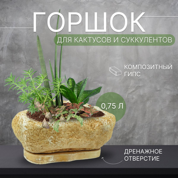 Характеристики Горшок для цветов, горшок для суккулентов, горшок для ...