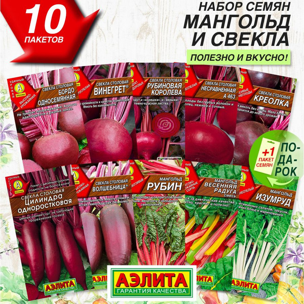 Свекла, Мангольд Аэлита Корнеплоды_10_мангольд и свекла - купить по ...