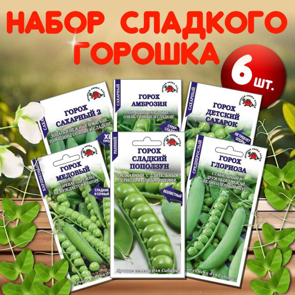 Горох Золотая сотка Алтая Сорта семян - купить по выгодным ценам в ...