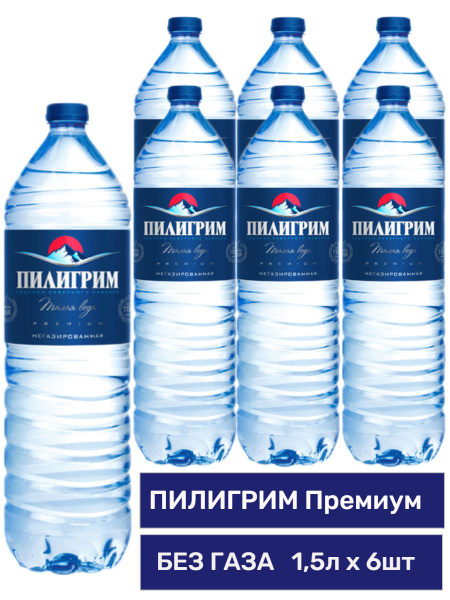 Минеральная питьевая вода ПИЛИГРИМ Премиум, негазированная, 1,5 л х 6 ...