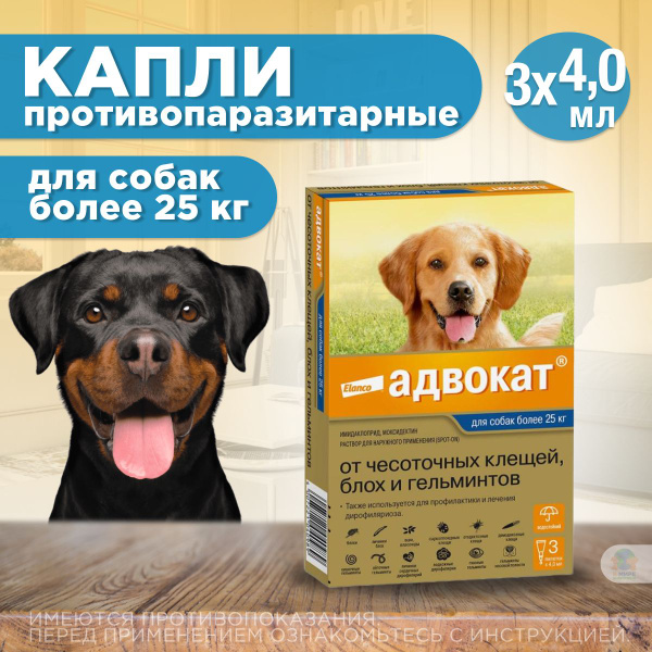 врот 