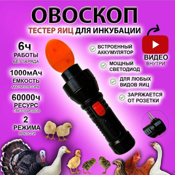 Регистрация