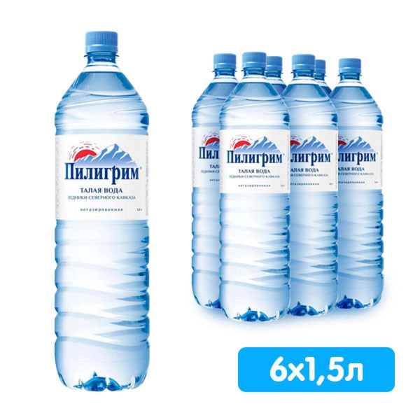 Пилигрим Вода Питьевая Негазированная 1500мл. 6шт - купить с доставкой ...
