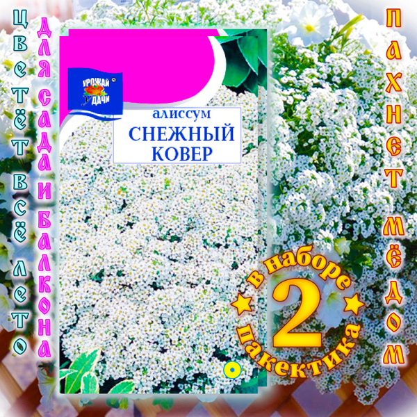 Алиссумы, Различные травы Урожай удачи Алиссум Снежный ковер 2 пакета ...