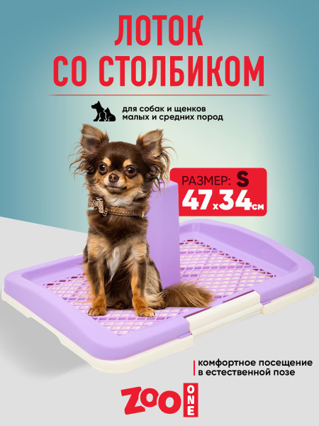 Фи малая