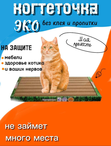 Когтеточка картонная для кошек, собак - купить с доставкой по выгодным ...