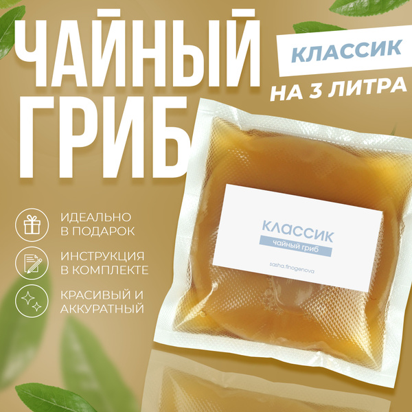 Чайный гриб "Классик" живой и активный - купить с доставкой по выгодным ...
