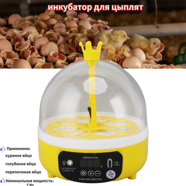 Инкубатор для яиц - купить с доставкой по выгодным ценам в интернет ...