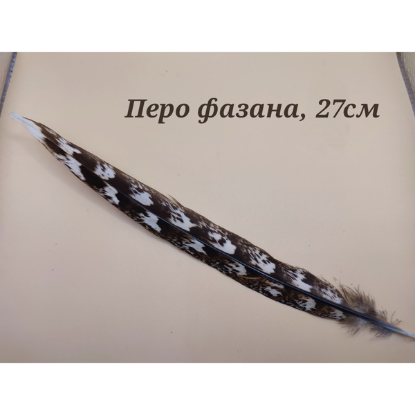 Перо фазана - купить с доставкой по выгодным ценам в интернет-магазине ...