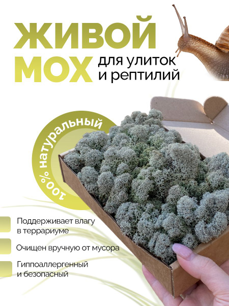 Мох ягель живой / мох для улиток - купить с доставкой по выгодным ценам ...
