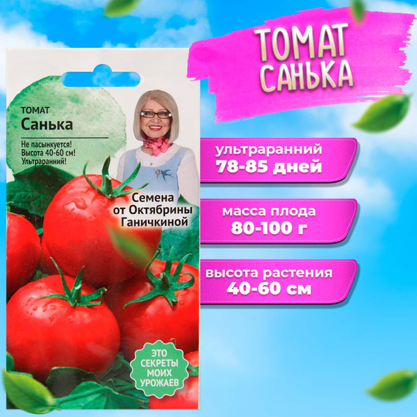 Томат Санька Купить Семена
