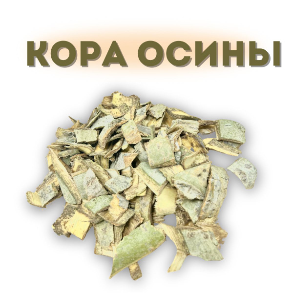 Кора осины 100 гр - купить с доставкой по выгодным ценам в интернет ...